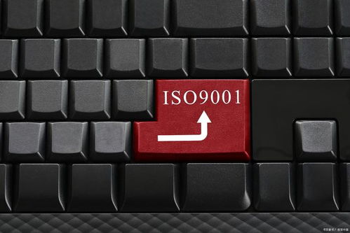 為何這些企業無需進行ISO 9001認證？